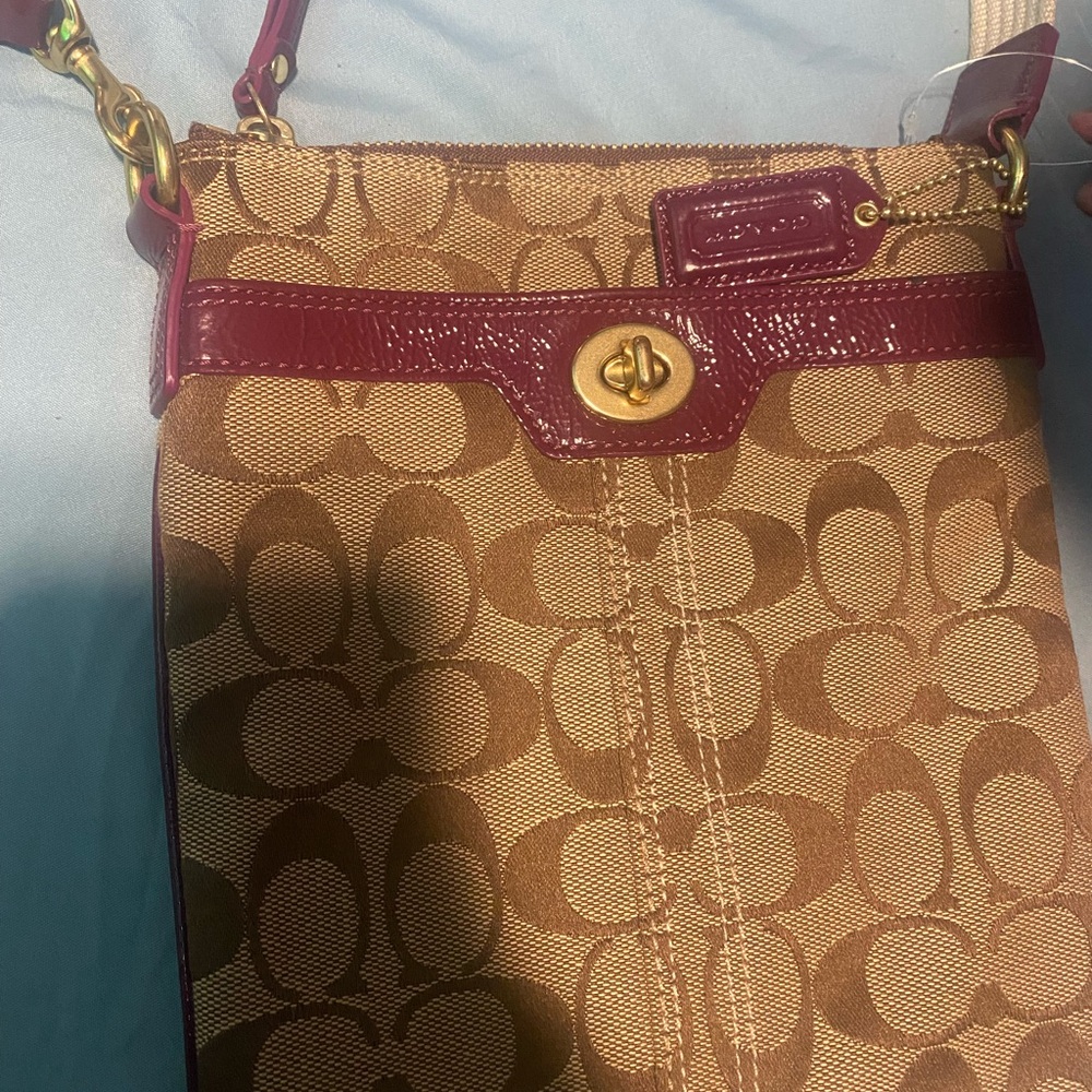 Elegant Brown and purple Designer Crossbody Bag